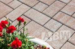 Topline Multiformát 6 cm zámková dlažba hnedosivá