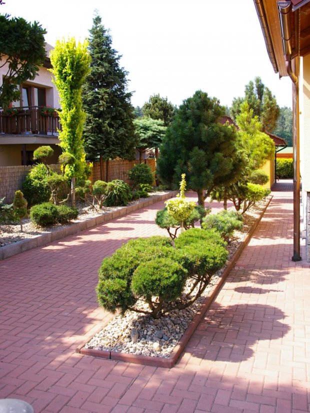 Parketa 4 červená