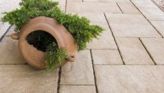 Suprema, karamelová melírovaná