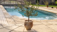 Bradstone Old Town bazénový lem, pieskovcová ROH