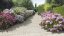 BRADSTONE COBBLE Základný balík 1m2 slonovinová