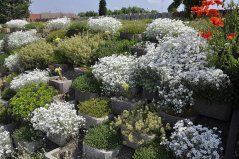 Svahová tvarovka štípaná přírodní